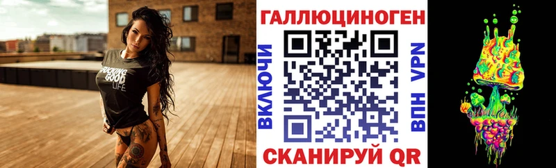 Псилоцибиновые грибы Psilocybe Новокубанск